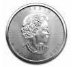 strieborne-investicne-mince-maple-leaf-1oz-2023-kanada-the-royal-canadian-mint