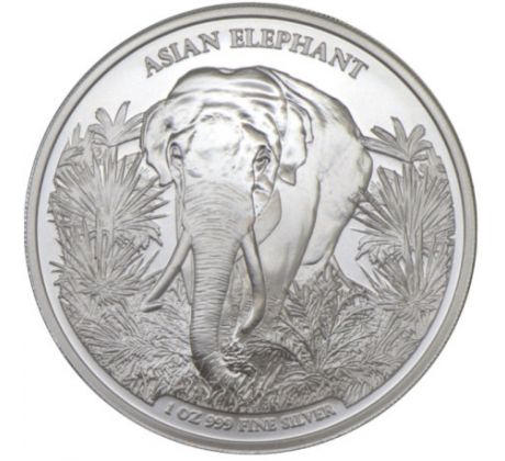 ASIAN ELEPHANT - 1 OZ 2023 CAMBODIA - ASIAN BIG FIVE SERIES - STRIEBORNÁ ZBERATEĽSKÁ MINCA