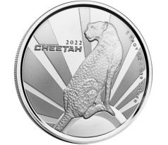 CHEETAH - AFRICAN WILDLIFE - 1 OZ 2022 CAMEROON - STRIEBORNÁ ZBERATEĽSKÁ MINCA