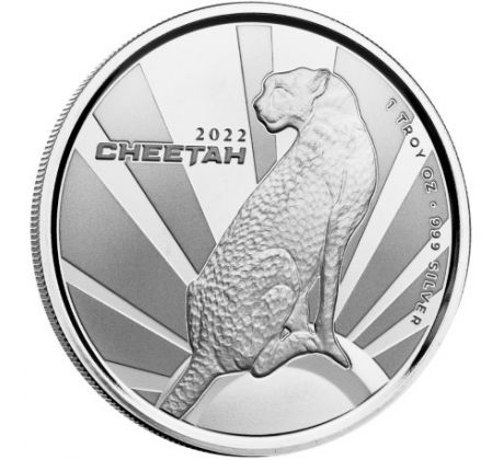 CHEETAH - AFRICAN WILDLIFE - 1 OZ 2022 CAMEROON - STRIEBORNÁ ZBERATEĽSKÁ MINCA